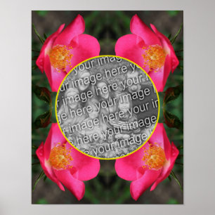 Rosa ros Petals Ram Skapar ditt eget foto Poster