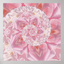 Rosa ros Petals Spiral i Kärlek Digital Artwork