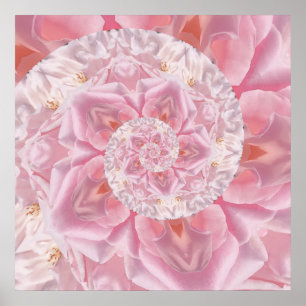 Rosa ros Petals Spiral i Kärlek Digital Artwork Poster