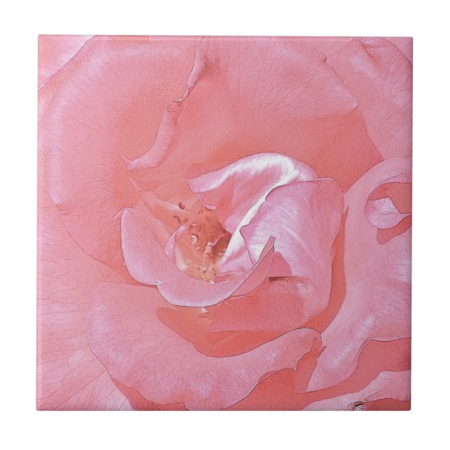 Rosa ros Petals Tile Kakelplatta (Framsidan)