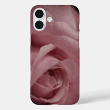 Rosa ros Phone Case