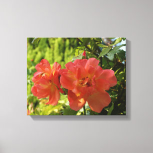 Rosa ros Photography-Kanvastryck Canvastryck