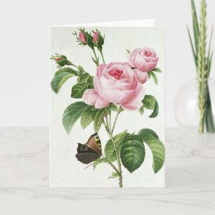 Rosa ros Pierre-Joseph Redoute Greeting Card Kort