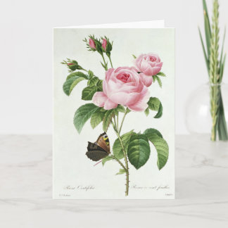 Rosa ros Pierre-Joseph Redoute Greeting Card Kort