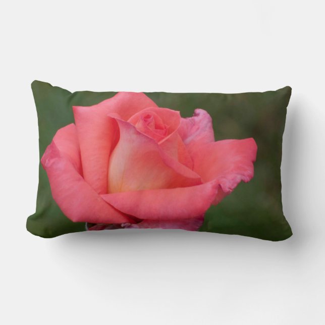 Rosa ros Pillow Lumbarkudde (Framsida)