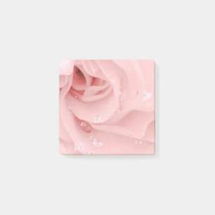 Rosa ros postar det noterar post-it block