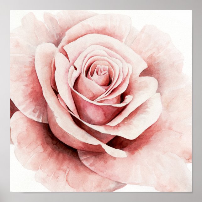 Rosa ros poster (Framsidan)