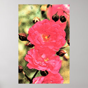 Rosa ros Poster - Digital Photo Blommigt Art