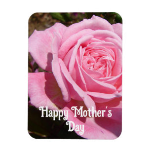 Rosa ros Ro Blomblommor Blommigt Mors dag Magnet