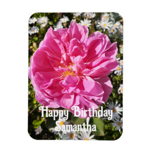 Rosa ros Ro Blomkål Blommigt födelsedag Magnet