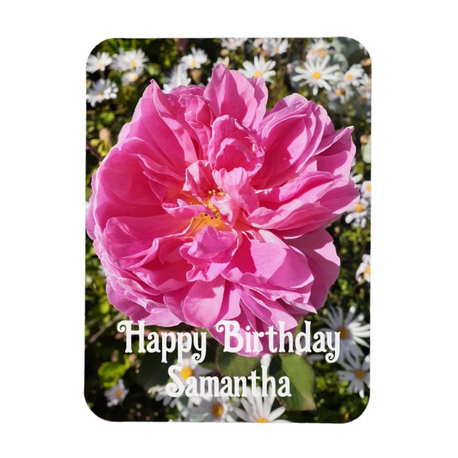 Rosa ros Ro Blomkål Blommigt födelsedag Magnet (Vertikal)