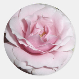 Rosa ros runt klistermärke