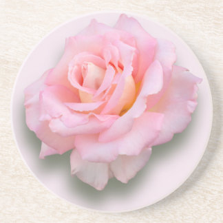 Rosa ros 'Scentsation Underlägg Sandsten