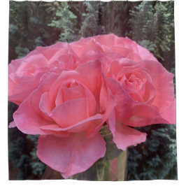 Rosa ros Shower Curtain
