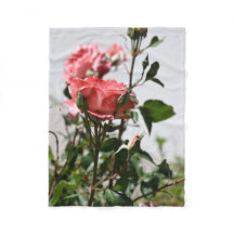 Rosa ros Soft Blanket