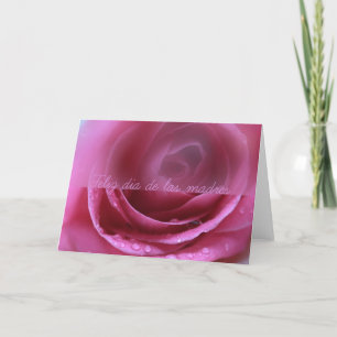 rosa ros soft dia de las madres kort