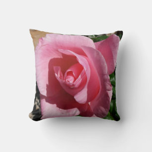 Rosa ros solig trädgård blommig kudde