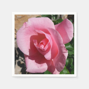 Rosa ros solig trädgård blommig pappersservett