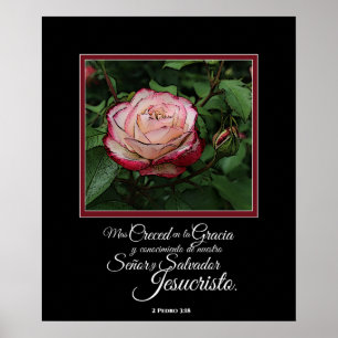Rosa ros Spanska Bible Verse Artwork Poster