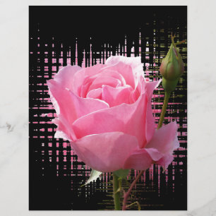 rosa ros stänk