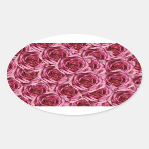 Rosa ros Sticker Ovalt Klistermärke