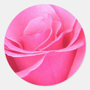 Rosa ros Sticker Runt Klistermärke