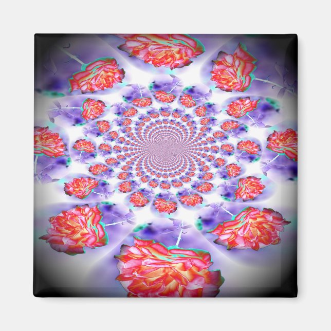 Rosa ros Swirling Magnet (Framsidan)