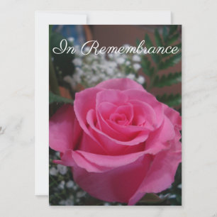 Rosa ros sympati kort