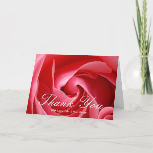 Rosa ros Tack Kort