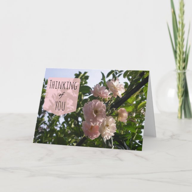 Rosa ros tänker på dig kort (Framsida)