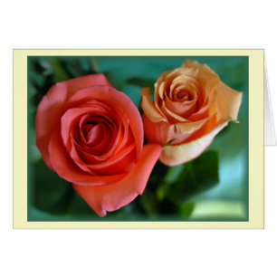 "Rosa ros" (tomt) Hälsningskort