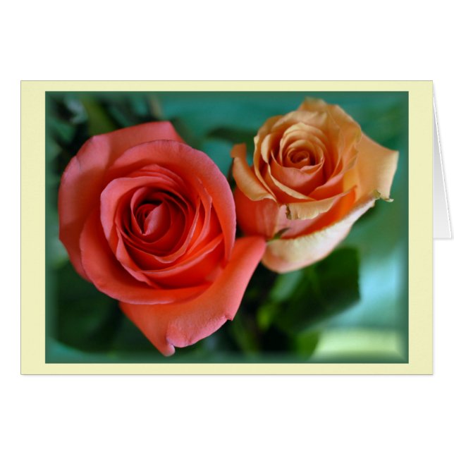 "Rosa ros" (tomt) Hälsningskort (Framsidan Horizontal)