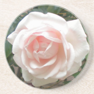 Rosa ros Underlägg