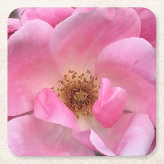 Rosa ros underlägg papper kvadrat (Framsidan)