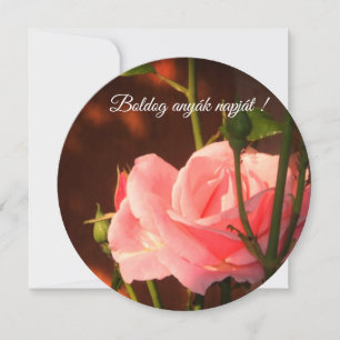 Rosa ros Ungerska Mors dag