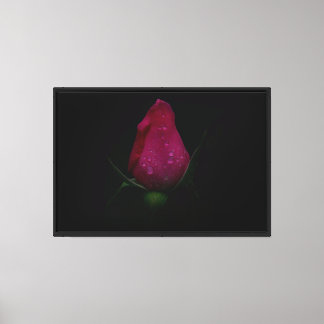 Rosa ros Utskrift på sträckt canvas