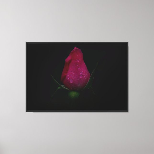 Rosa ros Utskrift på sträckt canvas (Framsida)
