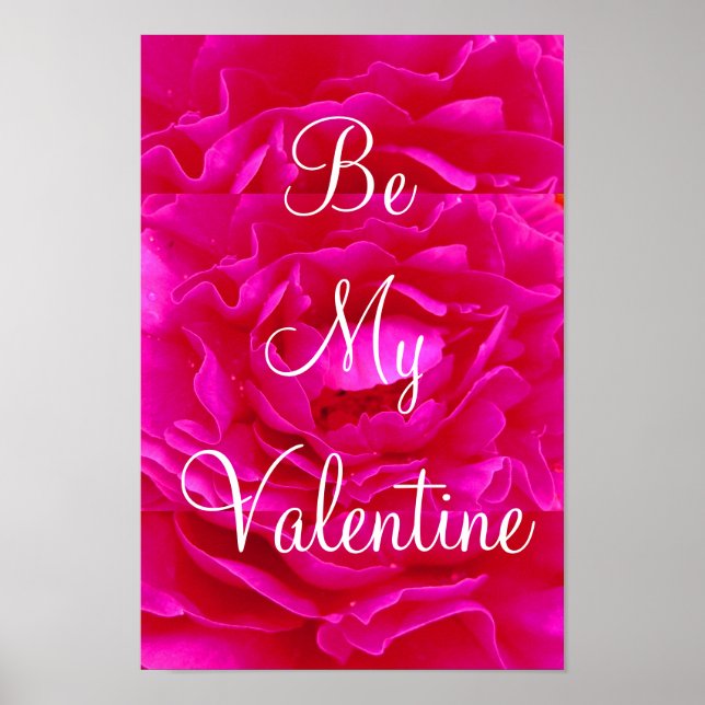 Rosa ros Valentine Poster (Framsidan)