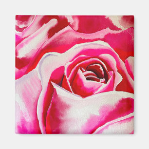 Rosa ros vattenfärgskonst magnet