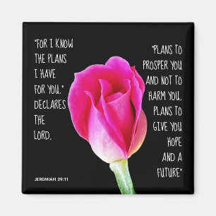 rosa ros, vers från Jeremiah 29:11 Magnet