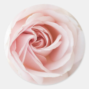 Rosa ros & vit trä shabby chic bröllopsdusch runt klistermärke