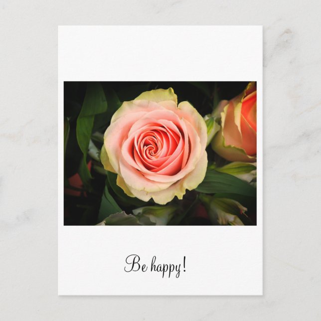 Rosa ros vykort (Framsida)