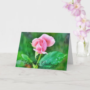 Rosa ros Watercolor Stil födelsedagskort Kort