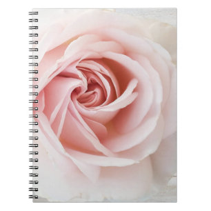 Rosa ros & White Wood Shabby chic Farmhouse Glam Anteckningsbok