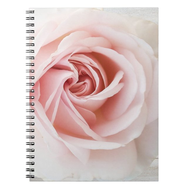 Rosa ros & White Wood Shabby chic Farmhouse Glam Anteckningsbok (Framsidan)