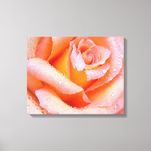 Rosa ros Wrapped Canvas (Framsida)