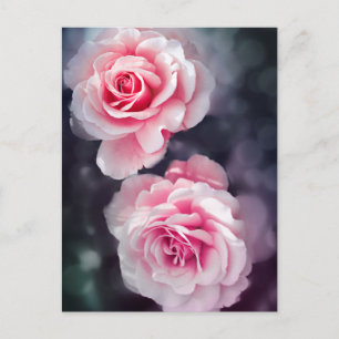 Rosa Rosa Blommor Feminina Foto Vykort