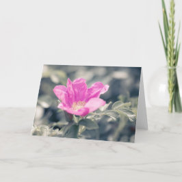 Rosa Rosa Flower Note Kort