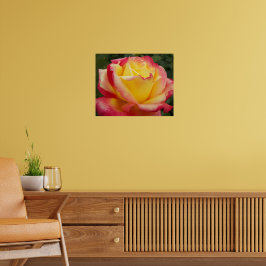 Rosa Rosa Fotografisk Blomma i Rosa och Gult Poster