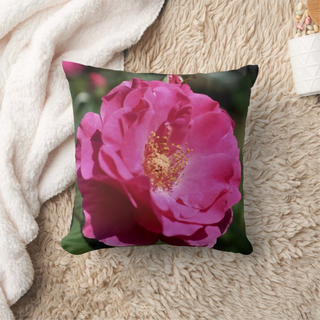 Rosa Rosa I Full Blomning Närbild  Kudde (Filt)